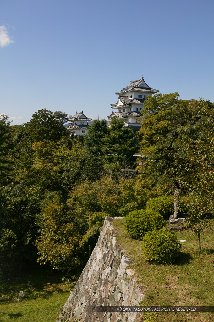 城代屋敷跡から伊賀上野城天守を望む