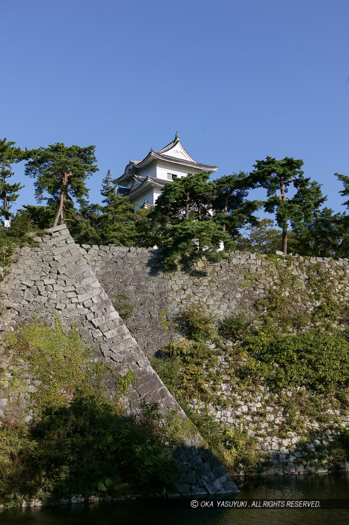 伊賀上野城高石垣と天守