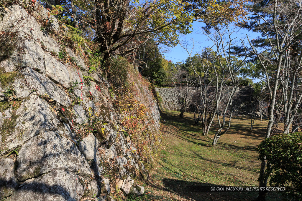 伊賀上野城の本丸南面石垣