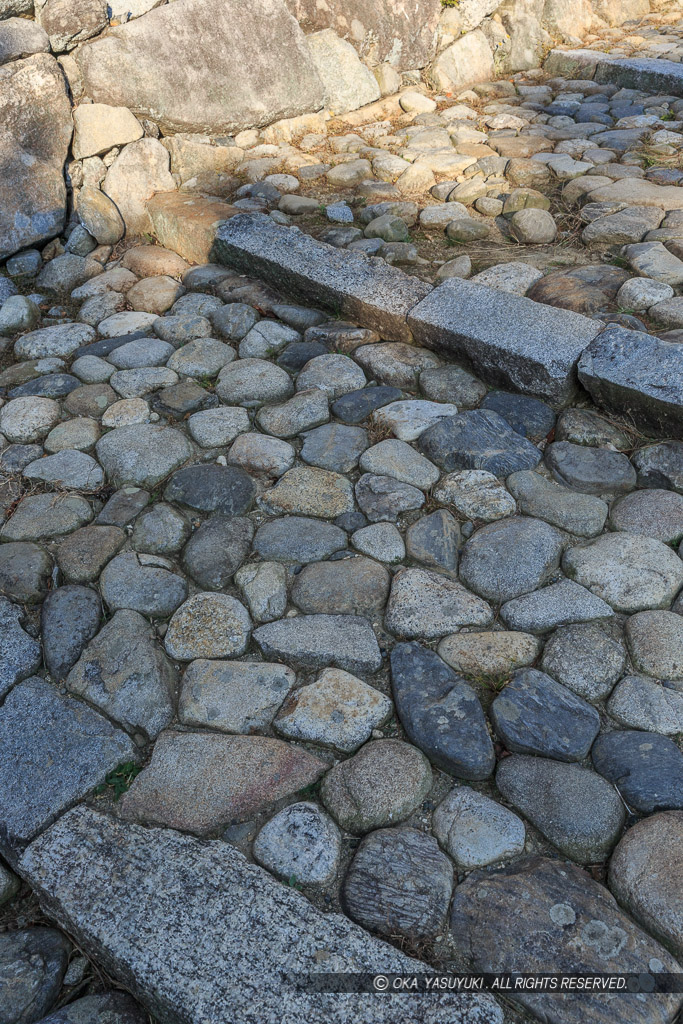 伊賀上野城の城代屋敷跡