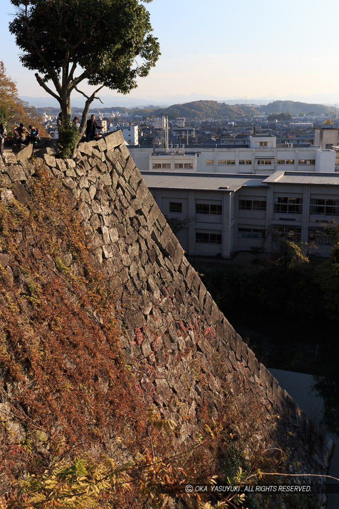 伊賀上野城の高石垣