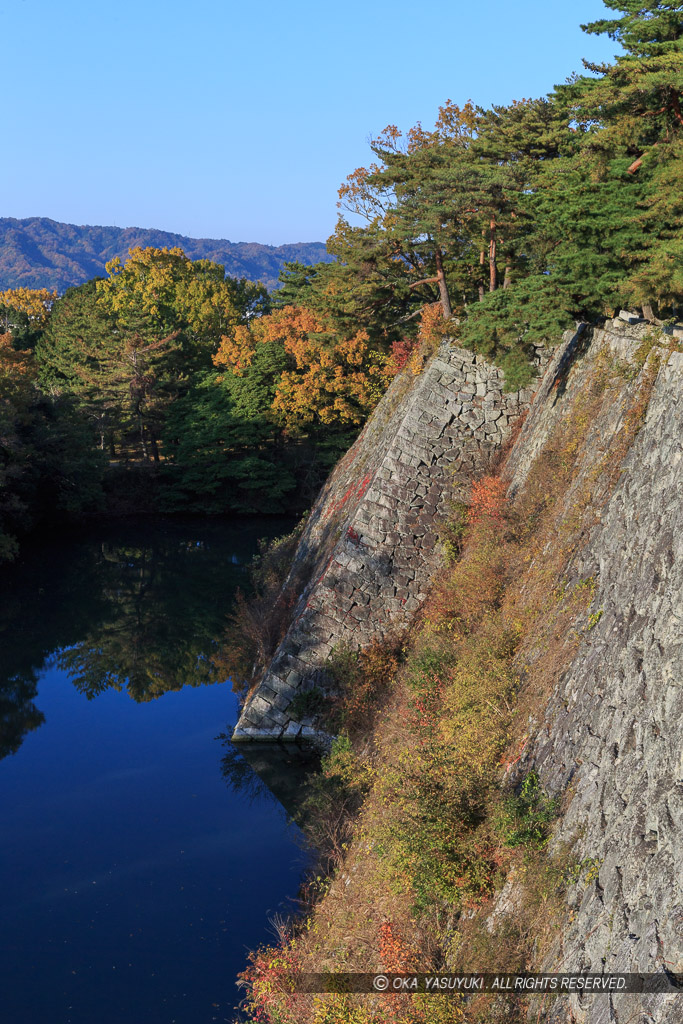 伊賀上野城の高石垣