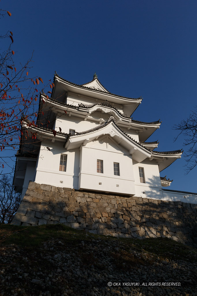 伊賀上野城の天守西面