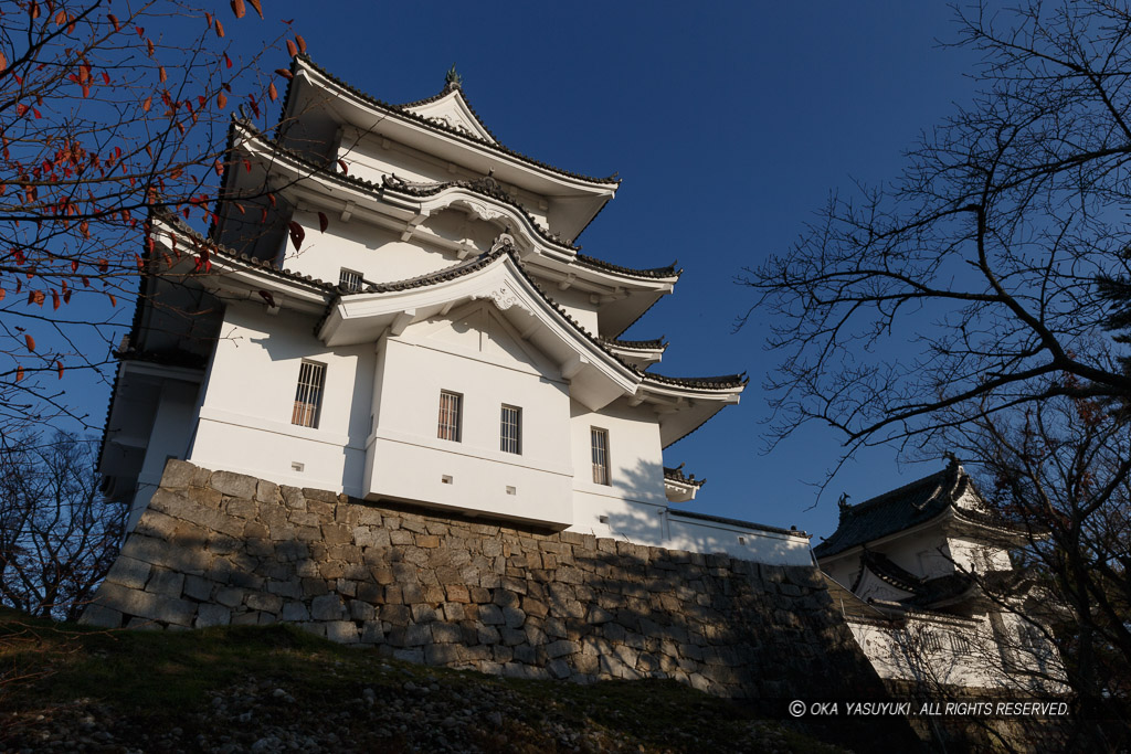 伊賀上野城の天守西面