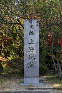 上野城跡石碑｜高解像度画像サイズ：3328 x 4992 pixels｜写真番号：1DX_6099｜撮影：Canon EOS-1D X