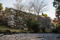 筒井古城・伊賀上野城城代屋敷跡｜高解像度画像サイズ：5184 x 3456 pixels｜写真番号：1DX_6238｜撮影：Canon EOS-1D X