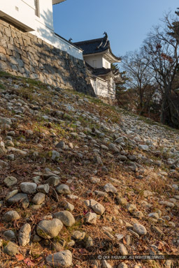 伊賀上野城の本丸裏込め石｜高解像度画像サイズ：3456 x 5184 pixels｜写真番号：1DX_6357｜撮影：Canon EOS-1D X