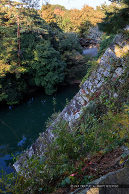 伊賀上野城の高石垣北側｜高解像度画像サイズ：3456 x 5184 pixels｜写真番号：1DX_6359｜撮影：Canon EOS-1D X