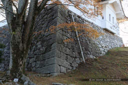 伊賀上野城の天守石垣｜高解像度画像サイズ：4818 x 3212 pixels｜写真番号：1DX_6369｜撮影：Canon EOS-1D X