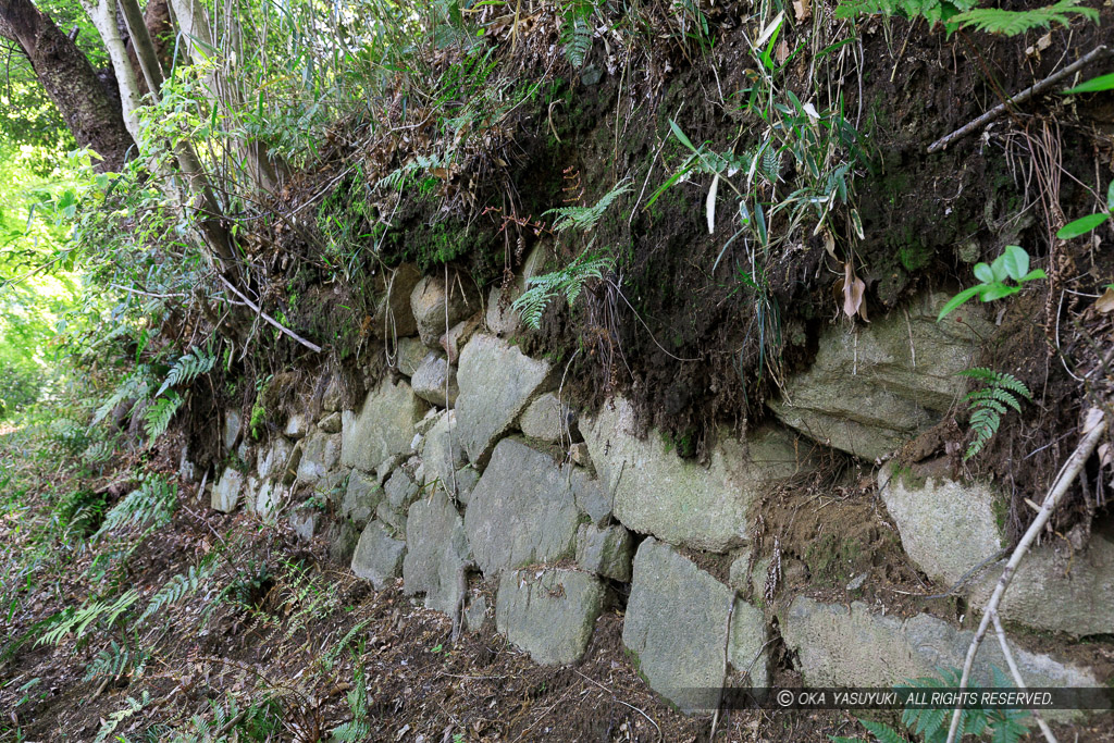 飯盛城の石垣