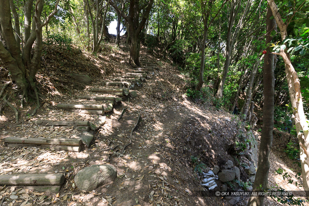 飯盛城の登城路と石垣