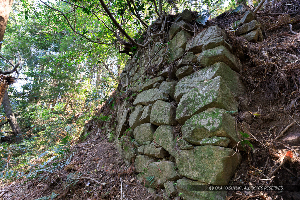 飯盛城の石垣