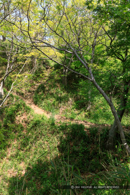 飯盛城土橋｜高解像度画像サイズ：4480 x 6720 pixels｜写真番号：5D4A7196｜撮影：Canon EOS 5D Mark IV