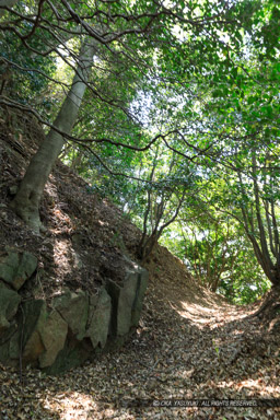 飯盛城の堀切｜高解像度画像サイズ：4480 x 6720 pixels｜写真番号：5D4A7293｜撮影：Canon EOS 5D Mark IV