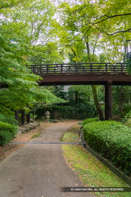 池田城本丸空堀跡 | 高解像度画像サイズ：3776 x 5664 pixels | 写真番号：IMG_7072 | 撮影：Canon PowerShot G1 X Mark III