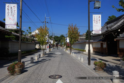 猪名野神社参道｜高解像度画像サイズ：5472 x 3648 pixels｜写真番号：IMG_1497｜撮影：Canon EOS 6D