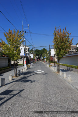 猪名野神社参道｜高解像度画像サイズ：3648 x 5472 pixels｜写真番号：IMG_1500｜撮影：Canon EOS 6D