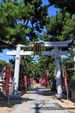 猪名野神社・鳥居｜高解像度画像サイズ：3454 x 5181 pixels｜写真番号：IMG_1504｜撮影：Canon EOS 6D