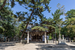 猪名野神社・本殿｜高解像度画像サイズ：5472 x 3648 pixels｜写真番号：IMG_1510｜撮影：Canon EOS 6D