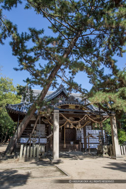 猪名野神社・本殿｜高解像度画像サイズ：3648 x 5472 pixels｜写真番号：IMG_1514｜撮影：Canon EOS 6D