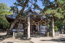 猪名野神社・本殿｜高解像度画像サイズ：5472 x 3648 pixels｜写真番号：IMG_1516｜撮影：Canon EOS 6D