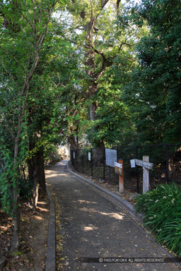 岸の砦・堀跡・猪名野神社｜高解像度画像サイズ：3648 x 5472 pixels｜写真番号：IMG_1522｜撮影：Canon EOS 6D