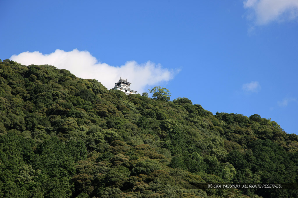 岩国城天守遠景