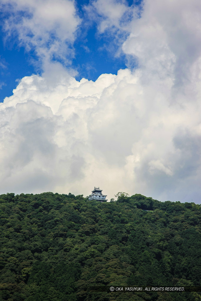 岩国城天守遠景・夏