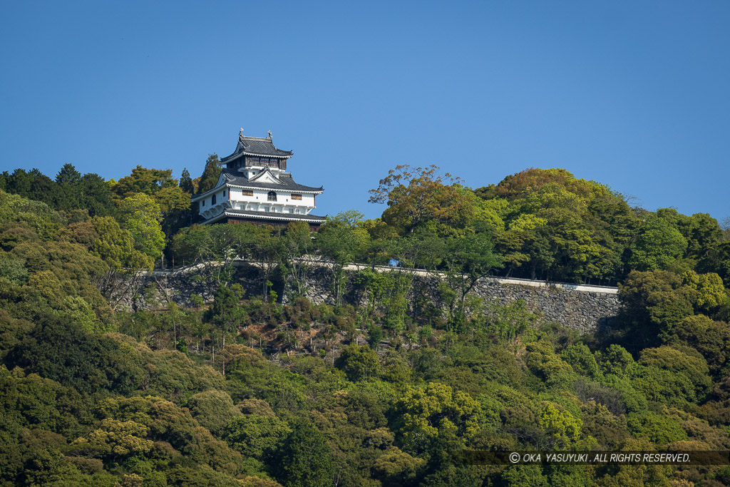 岩国城天守遠景