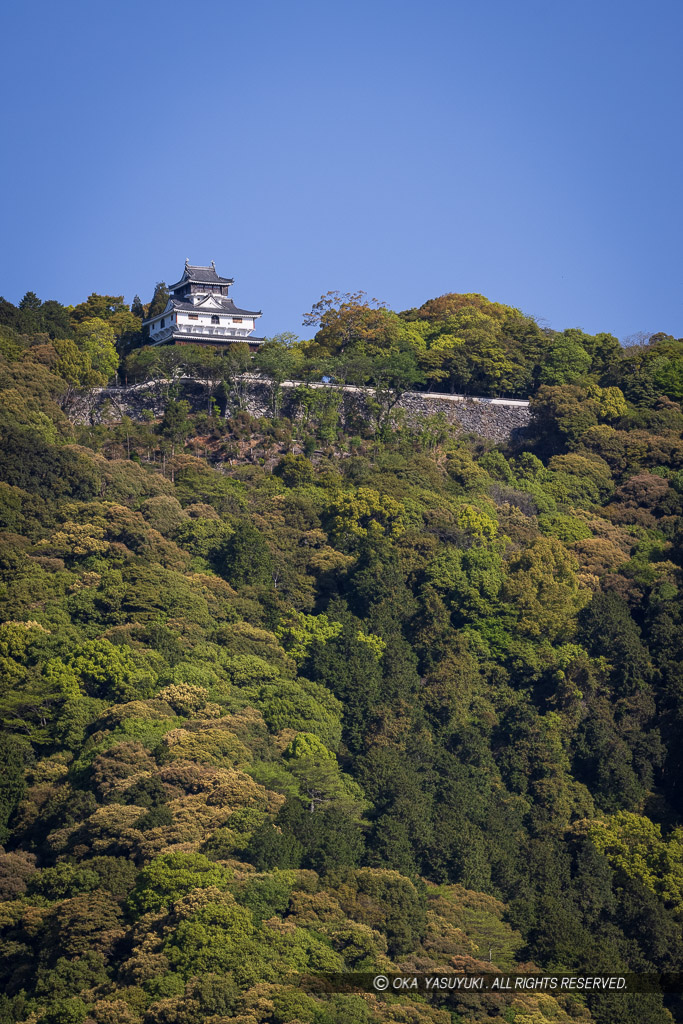 岩国城天守遠景