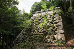 出丸石垣｜高解像度画像サイズ：5616 x 3744 pixels｜写真番号：1P3J5120｜撮影：Canon EOS-1Ds Mark III