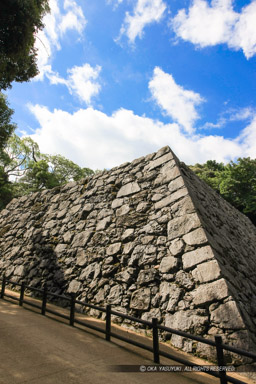 岩国城天守台｜高解像度画像サイズ：3649 x 5474 pixels｜写真番号：1P3J5168｜撮影：Canon EOS-1Ds Mark III