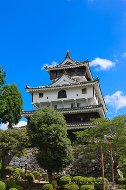 岩国城復興天守・二ノ丸から｜高解像度画像サイズ：3245 x 4867 pixels｜写真番号：1P3J5207｜撮影：Canon EOS-1Ds Mark III