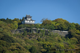 岩国城天守遠景｜高解像度画像サイズ：8192 x 5464 pixels｜写真番号：344A3186｜撮影：Canon EOS R5