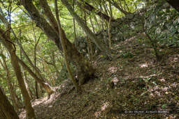 北ノ丸石垣｜高解像度画像サイズ：8192 x 5464 pixels｜写真番号：344A3365｜撮影：Canon EOS R5