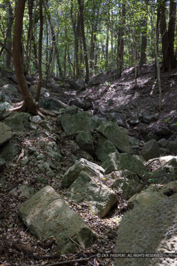 水の手曲輪虎口｜高解像度画像サイズ：5464 x 8192 pixels｜写真番号：344A3393｜撮影：Canon EOS R5