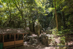 岩国城の石切場・護館神｜高解像度画像サイズ：7863 x 5245 pixels｜写真番号：344A3427｜撮影：Canon EOS R5