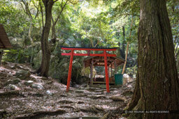 岩国城の石切場・護館神｜高解像度画像サイズ：8192 x 5464 pixels｜写真番号：344A3440｜撮影：Canon EOS R5