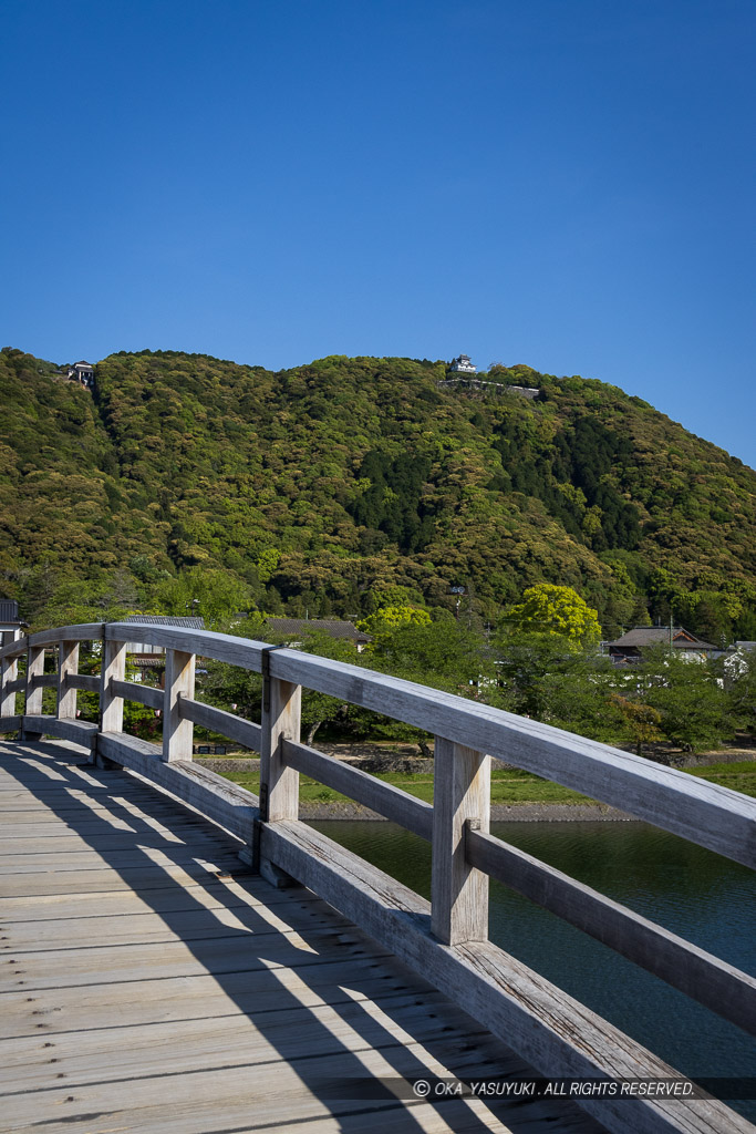 錦帯橋と岩国城