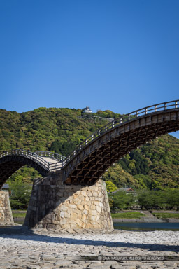 錦帯橋と岩国城｜高解像度画像サイズ：5464 x 8192 pixels｜写真番号：344A3169｜撮影：Canon EOS R5