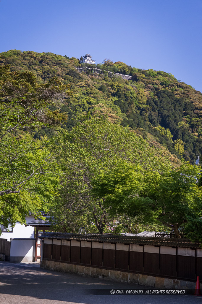 横山にそびえる復興天守