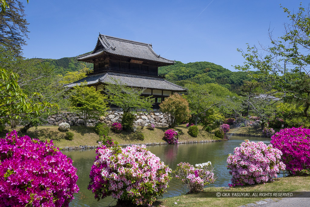 御土居の矢倉跡・吉香神社絵馬堂・5月のツツジ