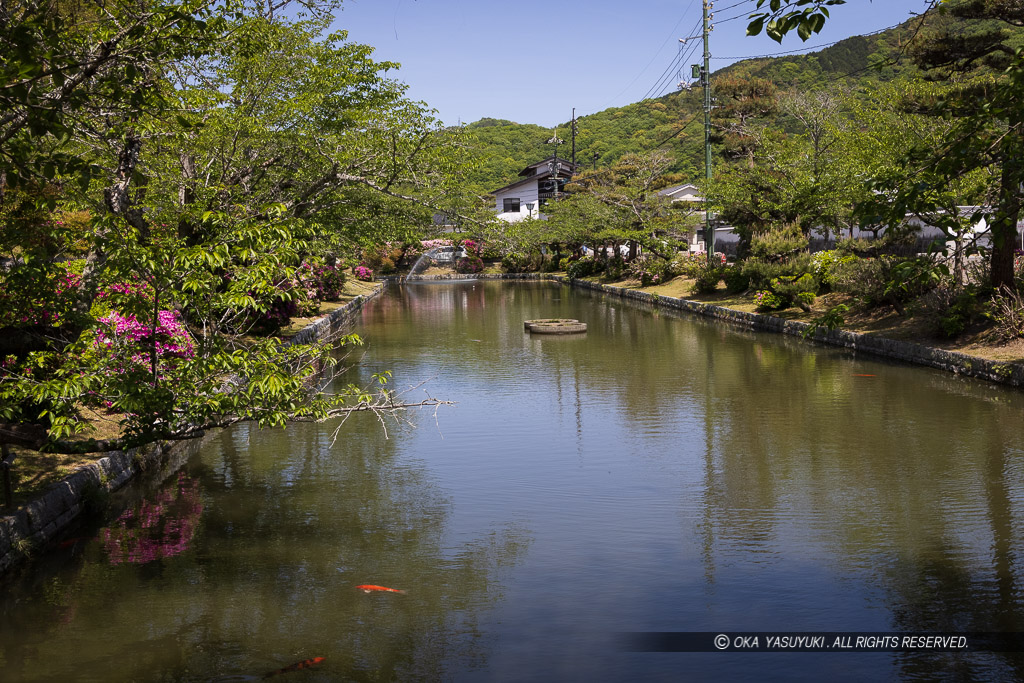 御土居水堀