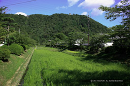 麓陣屋「土居」の濠｜高解像度画像サイズ：5616 x 3744 pixels｜写真番号：1P3J5075｜撮影：Canon EOS-1Ds Mark III