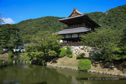 麓陣屋「土居」の錦雲閣｜高解像度画像サイズ：5616 x 3744 pixels｜写真番号：1P3J5094｜撮影：Canon EOS-1Ds Mark III