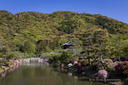 御土居水堀と岩国城｜高解像度画像サイズ：8014 x 5345 pixels｜写真番号：344A3223｜撮影：Canon EOS R5