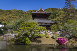 御土居の矢倉跡・吉香神社絵馬堂・岩国城｜高解像度画像サイズ：8086 x 5393 pixels｜写真番号：344A3226｜撮影：Canon EOS R5