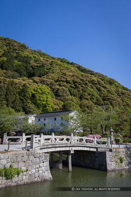 御土居と横山城｜高解像度画像サイズ：5464 x 8192 pixels｜写真番号：344A3232｜撮影：Canon EOS R5