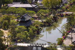 ロープウェイから見る御土居｜高解像度画像サイズ：8192 x 5464 pixels｜写真番号：344A3237｜撮影：Canon EOS R5