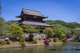 御土居の矢倉跡・吉香神社絵馬堂｜高解像度画像サイズ：7909 x 5275 pixels｜写真番号：344A3453｜撮影：Canon EOS R5